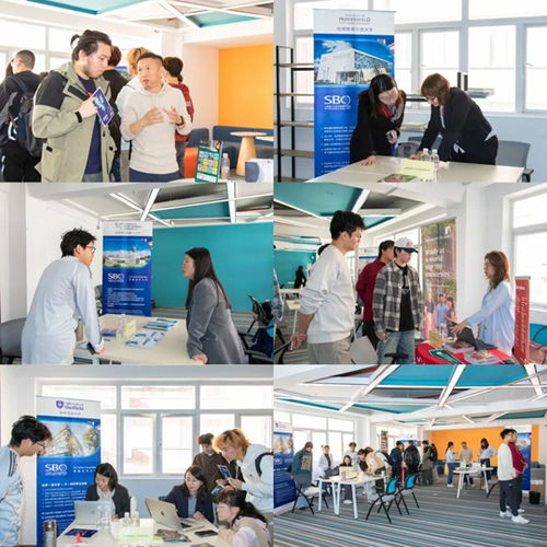 上海理工大學中英國際學院舉辦2025年度英國合作大學秋季咨詢會 聚焦信息技術咨詢服務，規劃未來留學之路