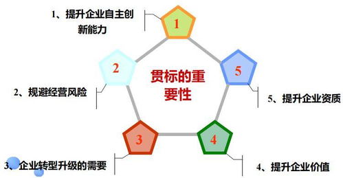 淺談企業知識產權管理體系認證 賦能企業創新與管理的核心服務